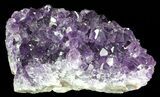 Purple Amethyst Cluster - Uruguay #66782-1